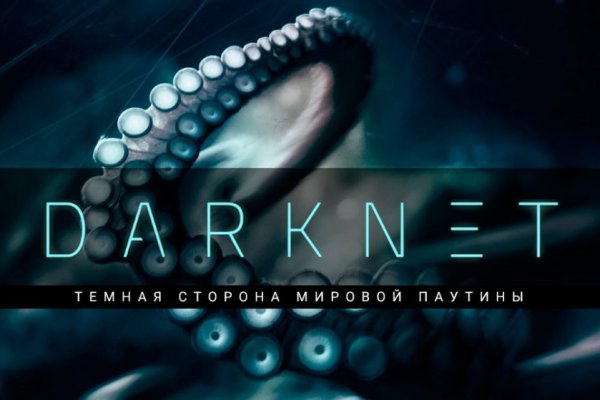 Kraken19 at