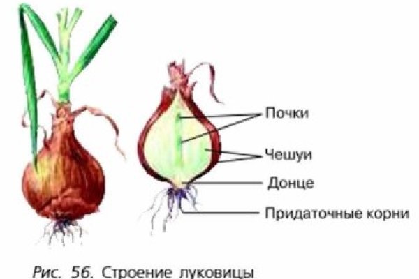 Какая сейчас ссылка на кракен